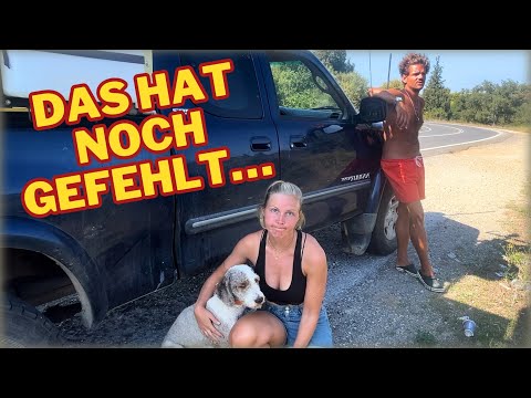 Ab in die TIER-KLINIK 🚨😱 | Vanlife Sardinien Italien | EP22