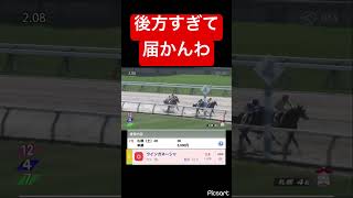 【先行しろよ】こんなもん後方すぎて届かんやろ #競馬