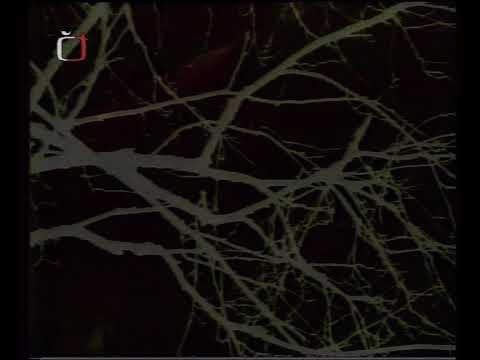 Insania - Zimní varování