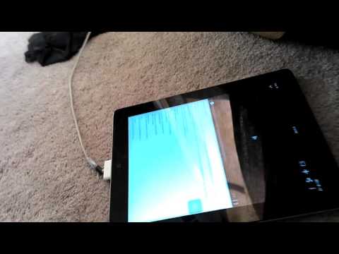 Mowgli sound-curious 2