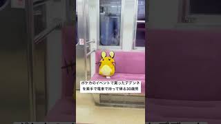デデンネ、これが愛媛の電車だよ #movie #music #shortvideo #shorts #song #musicvideo #anime#pokemon #ポケモン #雑学 #旅行#日常