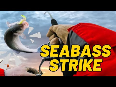 Yuss Fishing and Samsonfishing Lures