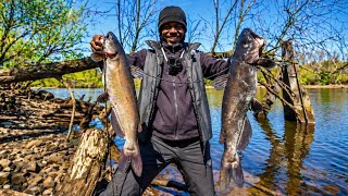 Catfishing To Feed My Family !! | Catch Clean Cook !!
