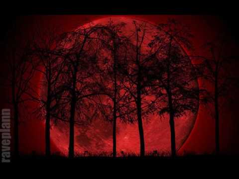 Dark forest Deidriim Dark Psytrance Forest Mix 12 11 2013