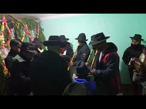 Alma pinkillada omasuyos Santiago de Huata 2025