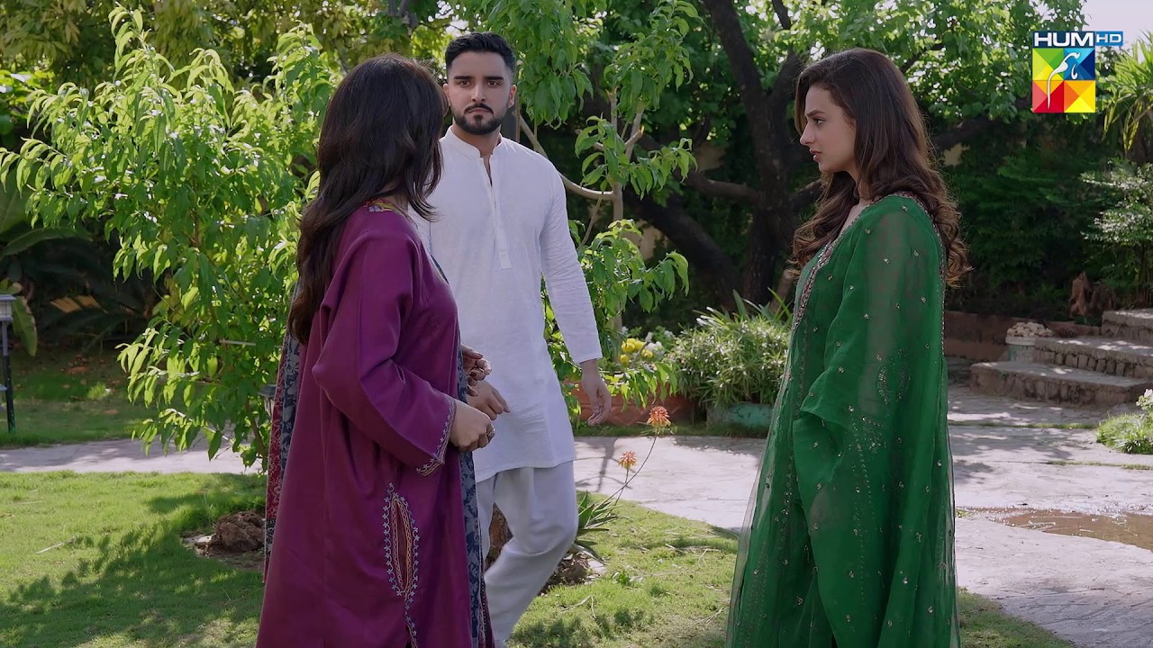 Mein Aap Ki Asliyat Jaan Chuka Houn Mom..! #hadddrama #MinsaMalik - HUM TV