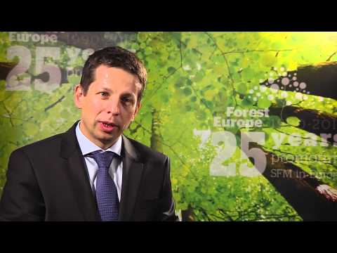 Mr. Robert Mavsar, EFI - FOREST EUROPE 25th anniversary