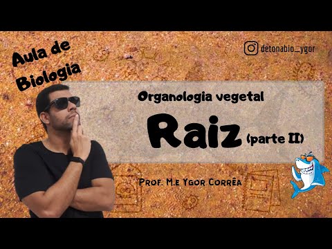 Botânica (Aula 14) - Organologia vegetal - Raiz (parte II)