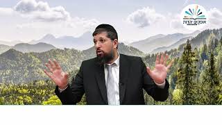 עת ללדת | זרע שמשון סוכות תשפ"ה | ספר קהלת | הרב אליהו עמר (הרב אליהו עמר) - התמונה מוצגת ישירות מתוך אתר האינטרנט יוטיוב. זכויות היוצרים בתמונה שייכות ליוצרה. קישור קרדיט למקור התוכן נמצא בתוך דף הסרטון