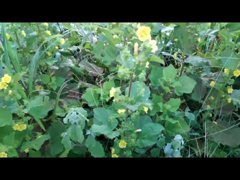 Sunrise | Cinematic Showreel | MADSKULL