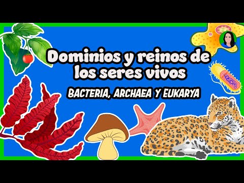 Domains and kingdoms of living beings