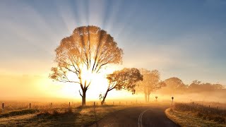 John Denver - Sunshine on My Shoulders with lyrics and pictures