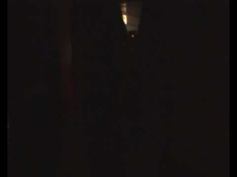 Rootikal Warriah @ Haile I Dub