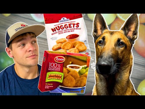 Tyson Chicken Nuggets vs. Generic Brand Taste Test