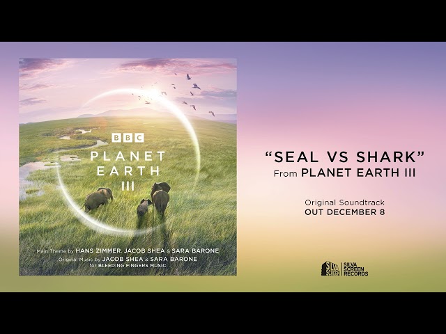 Planet Earth III - Seal vs Shark (Official Audio)