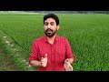 Corona Song By Bappi Das
