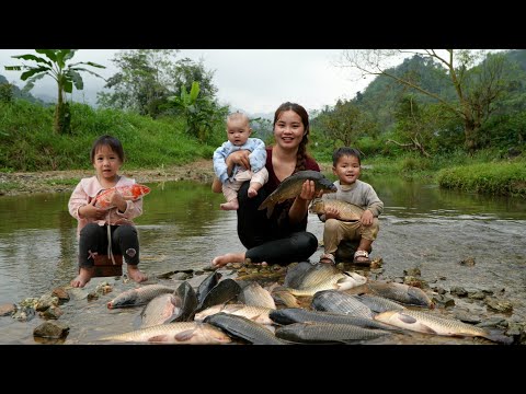 How to catch giant river fish to sell - Cooking fish for my little daughter to eat