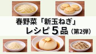 新玉ねぎ1個使い切り！簡単レシピ5選（第2弾）