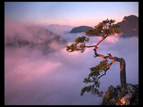 Tadeusz Woźniak, "Z dobrych przeczuć".