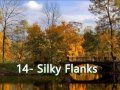 Nightnoise - Silky Flanks