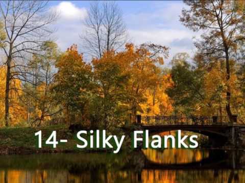 Nightnoise - Silky Flanks