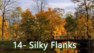 Nightnoise - Silky Flanks