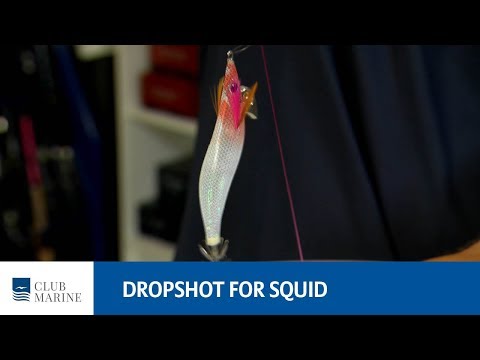 How to tie a drop shot for squid - fishing tip | Club Marine
