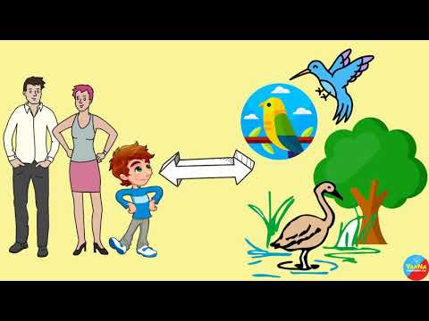 Sparrow Man Of India की कहानी   Mohammed Dilawar   World Sparrow Day Special   YaaNa