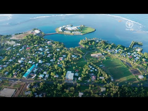Plastic Recycling Initiative – Samoa