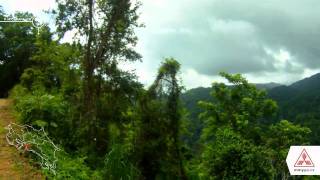 preview picture of video 'Parque Nacional Carara, COSTA RICA'