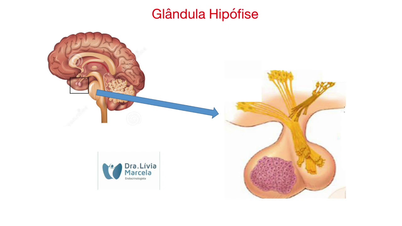 Lívia Marcela Dos Santos-16