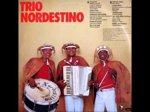 Chora Viola - Trio Nordestino