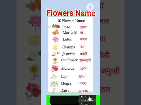 10 flowers name / flowers name / flowers name with spelling /फ़ूलों के नाम #shortsfeed #viralshorts