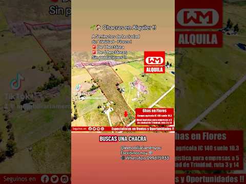 Alquiler de 2 chacras a 5’ Trinidad Flores Uruguay #TrinidadFlores #AlquilerDeChacras #inmobiliaria