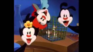 Pinky &amp; the Brain (intro) 1993 &quot;Original Animaniacs Cut&quot;