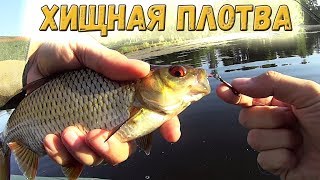 Ультралайтовые колебалки на плотву своими руками