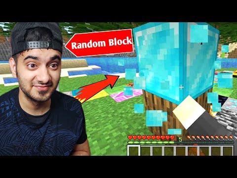 Minecraft, But Every Block Randomizes when I look at them.....