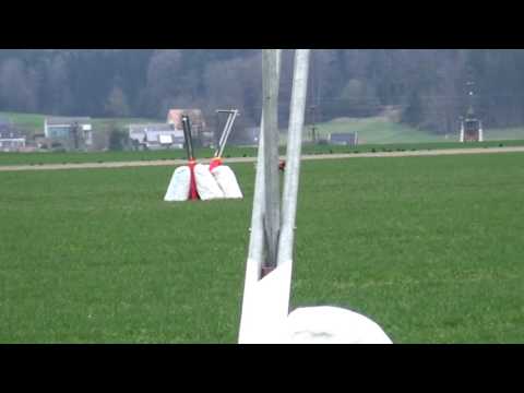 Coursing Lotzwil 26 03 2017 Dai Jin Zephyra