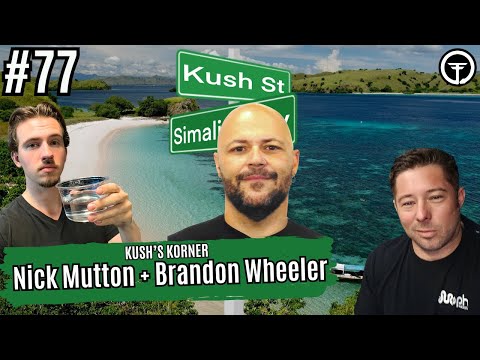 How Big Should Adult Scrub Pythons Really Be? | Kush's Korner Live