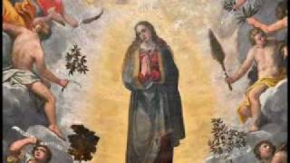 preview picture of video 'La Vergine Maria nell'affresco dell'abside della chiesa di Voghiera'