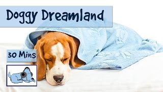 Doggy Dreamland! Soothing Sleep Music for Dogs. Calm Down Your Dog with 30 Minutes of Relaxing Music