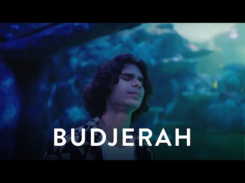 Budjerah - My Name (Live at Sydney Aquarium) | Mahogany Session