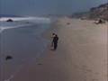 The Monkees - This just dosent seem to be my day