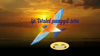 Download lagu sp Walet sore. suara jernih Dan mantap cocok untuk pancingan idukan mp3 Download lagu sp Walet sore. suara jernih Dan mantap cocok untuk pancingan idukan mp3