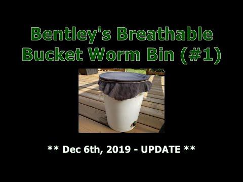 Breathable Bucket Worm Bin (#1) Update