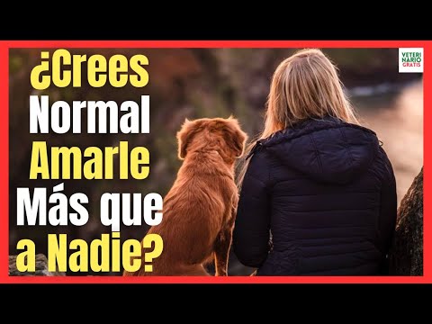 💖 WHY DO I LOVE MY DOG MORE THAN ANYONE ELSE? 💖