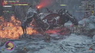 【モンハンワイルズ】めっちゃヒマナンダ