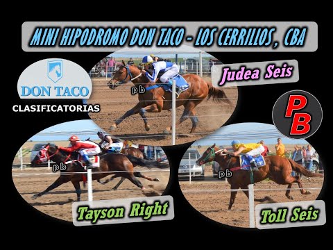 CLASIFICATORIAS POLLA HARAS DON TACO - Mini Hipodromo, Los Cerrillos (19-09-21)