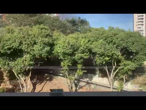 Metrô SP Trecho Entre Parada Inglesa e Tucuruvi - Linha 1 Azul