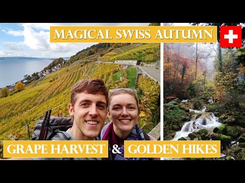 ✦AUTUMN IN SWITZERLAND✦ Lavaux and Bienne Vineyards, Neuchâtel Hikes, Douanne Waterfalls